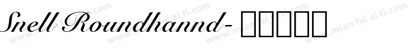 Snell Roundhannd字体转换